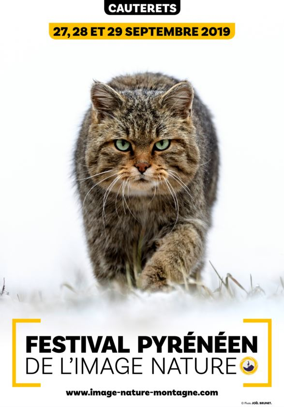 affiche-festival-pyreneen-de-l-image-nature-2019-bass-def