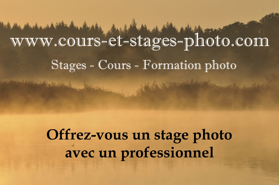 cours-stage-photo-st-etienne-42-1