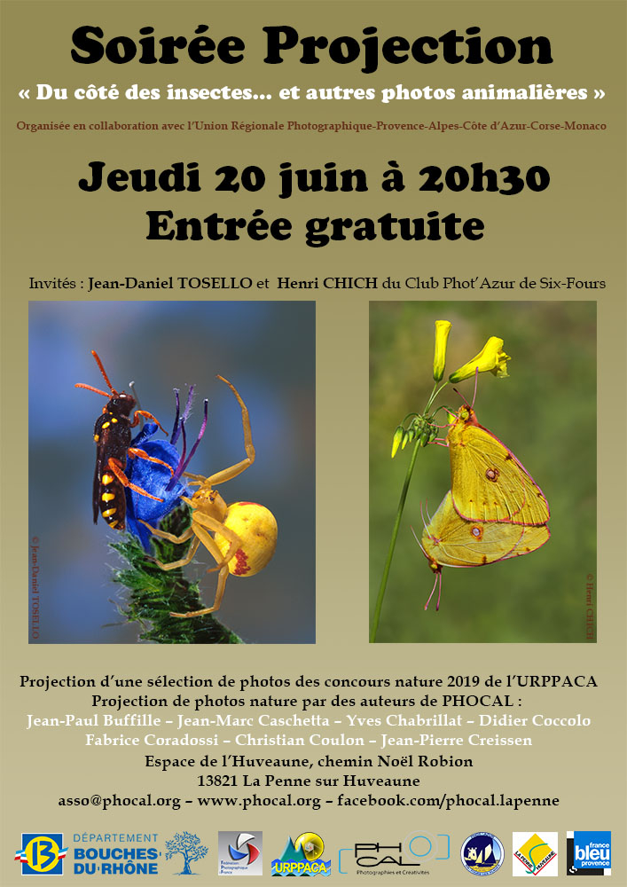 phocal-affiche-a3-projection-20-06-19-v5a-reduc
