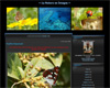 nature en images