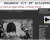 http://regard.noir.over-blog.net
