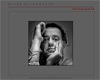 Galerie photo de Bruno Brismontier - photographe normand