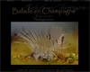 http://www.champagne-balade.fr