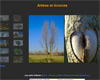 http://photosdejack.free.fr