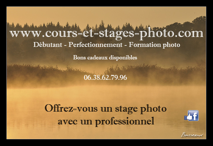 cours-photographie-orleans-45