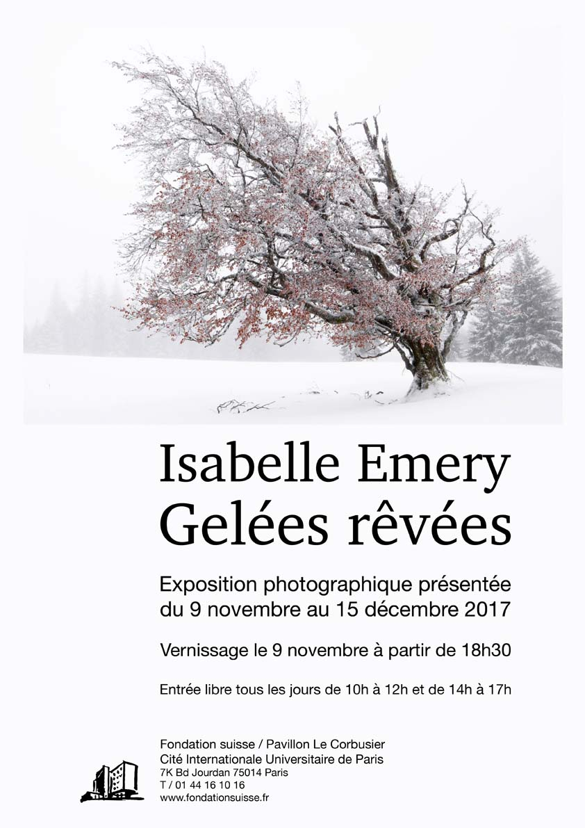 affiche-gele-es-re-ve-es-web