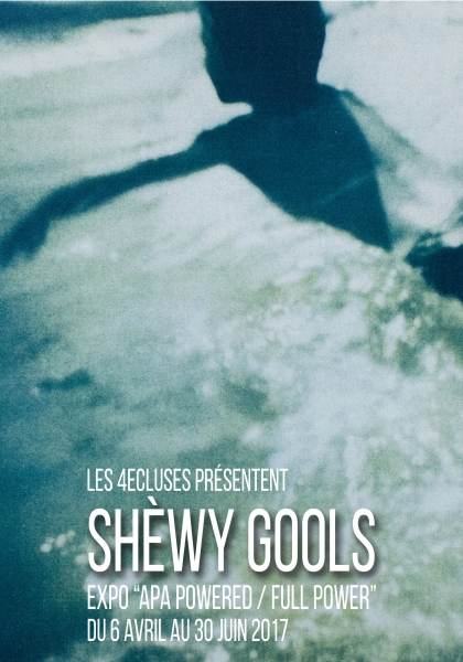 affiche-shewy-gools-bd