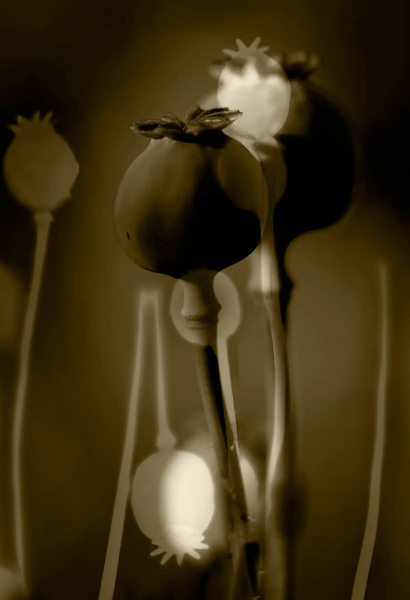 art-1946-1