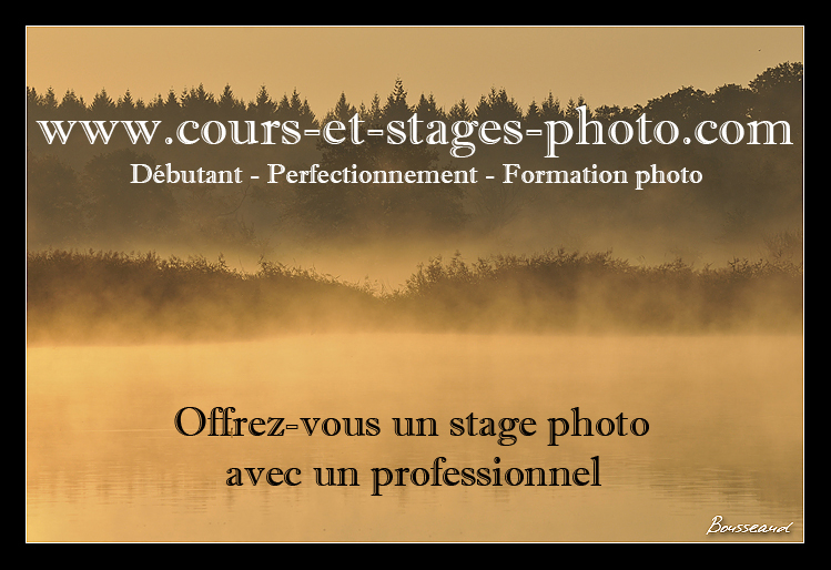 cartes-visite-sans-contact-2