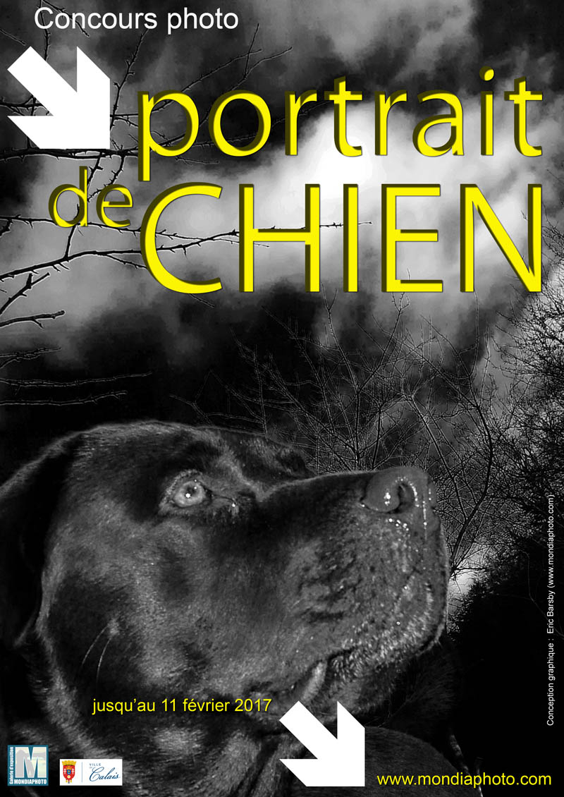 concours-portrait-de-chien