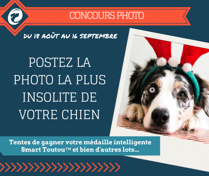 concours-smart-toutou-facebook