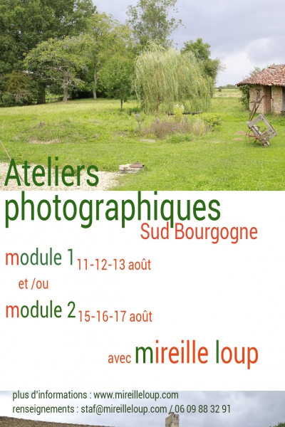 fly-loup