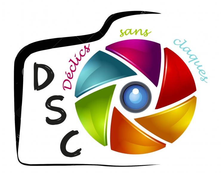 logo-dsc