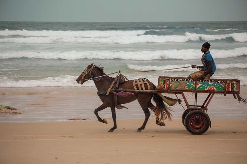 noreyni-borom-sarette-dakar-senegal-19