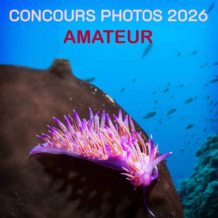 salon-plongee-2026-concours-photos-amateur