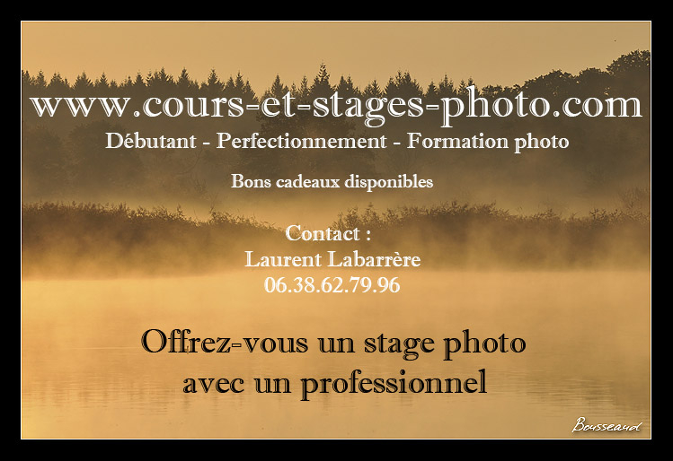 stage-photo-41
