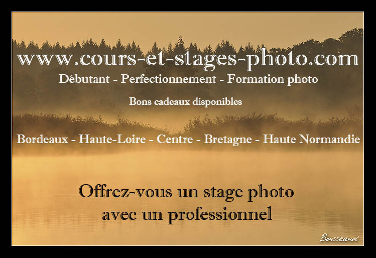 stage-photo-brest