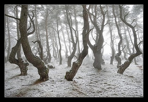 stage-photo-clermond-ferrand-63-9