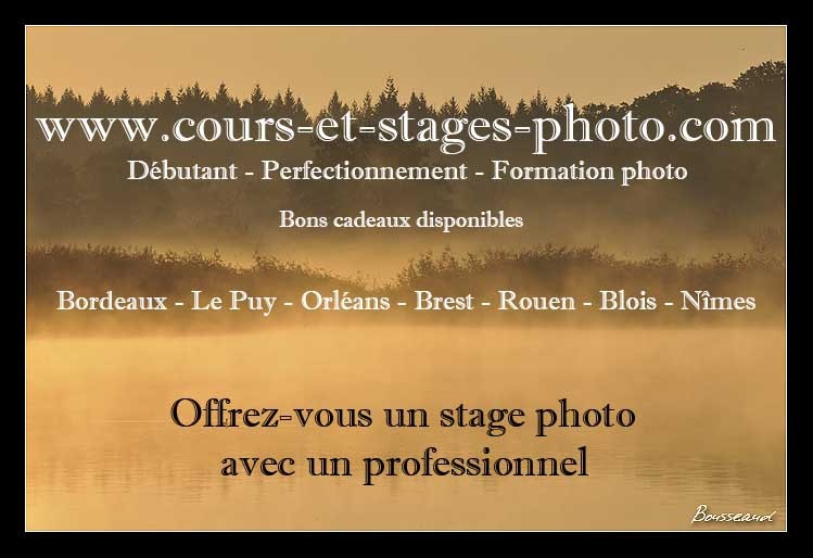 stage-photo-rouen-78