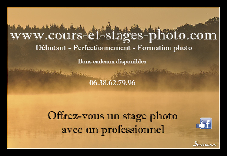 stage-photo-rouen-80