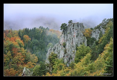 stage-photo-saint-etienne-42-14