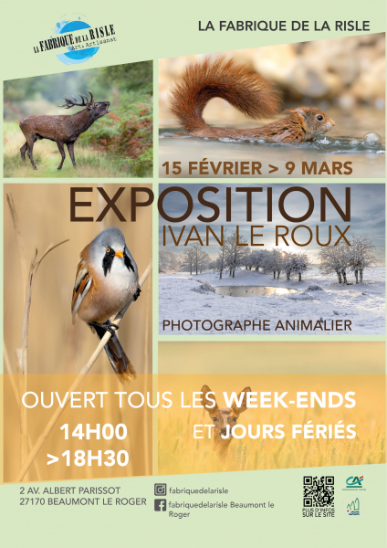 webaffiche