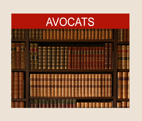 Google Ads pour les avocats