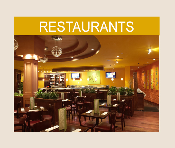 Google Ads pour les restaurants