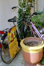 Hors scène par Stéphane Blache