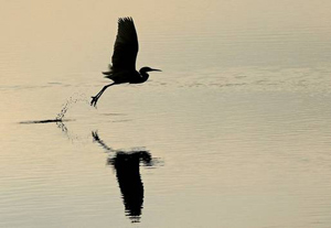 mt_popup:Photo  J-C Maillard