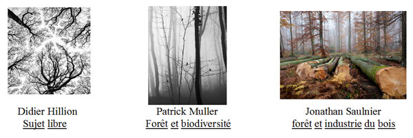 pratique_reflexe concours