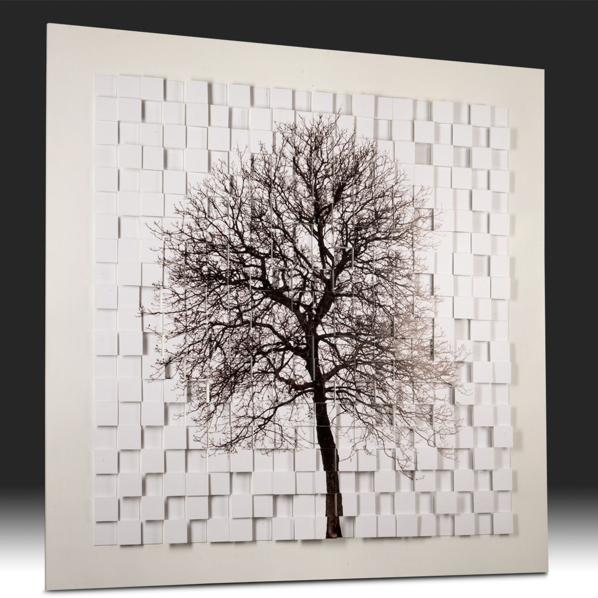 Forsans Patrice, Régénaration, Atelier Contrast, Besançon