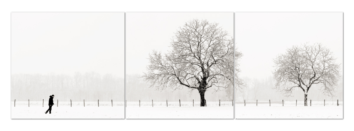 Forsans Patrice, Regeneration 4 , Régénaration..., Atelier Contrast, Besançon