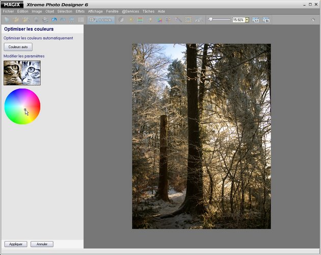 mt_popup:Xtreme Photo Designer - 6 Couleur automatique