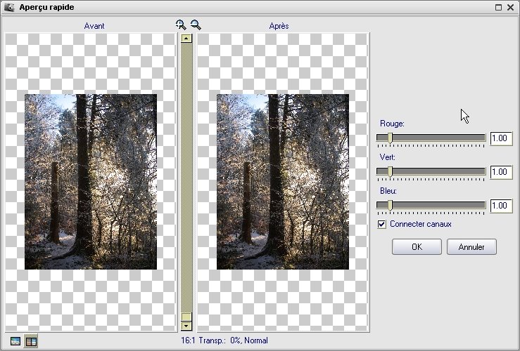 mt_popup:Xtreme Photo Designer - 11 Réglages