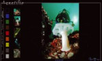 Aquatilia - Photographie sous-marine