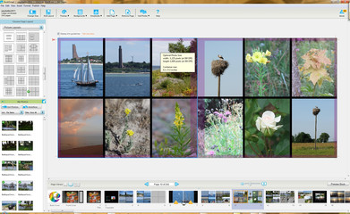 Insertion d'images verticales Images triées verticales