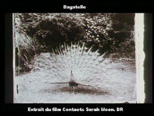 Sarah Moon photographie