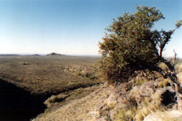 Image Exemple
