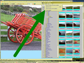 Irfan View - 10 Options Fenêtre T mt_popup:10 Options Fenêtre T