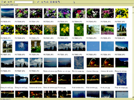Portfolio 5 - 2 Catalogue en vignettes mt_popup:2 Catalogue en vignettes