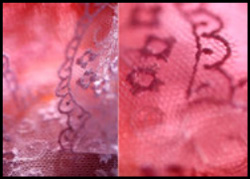 photographie