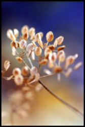 photographie
