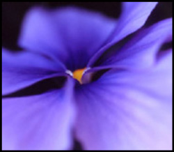 photographie