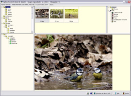 Classeur d'Images - 12 Exploration par critères mt_popup:12 Exploration par critères