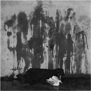 Roger Ballen - La Chambre d'ombres