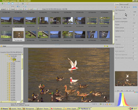 Raw Shooter Essentials 2006 - 14 Zone surex poussée mt_popup:14 Zone surex poussée