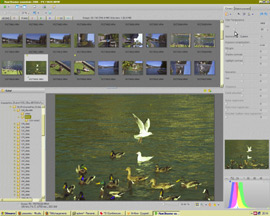 Raw Shooter Essentials 2006 - 17 Colorisation mt_popup:17 Colorisation
