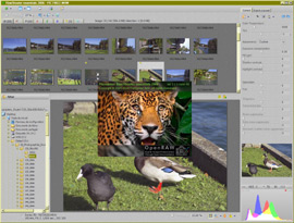 Raw Shooter Essentials 2006 - 19 Raw Shooter Essential mt_popup:19 Raw Shooter Essential