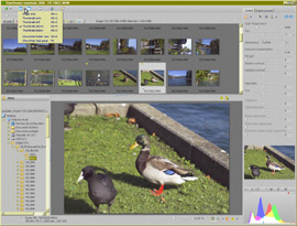 Raw Shooter Essentials 2006 - 6 Bouton Image mt_popup:6 Bouton Image